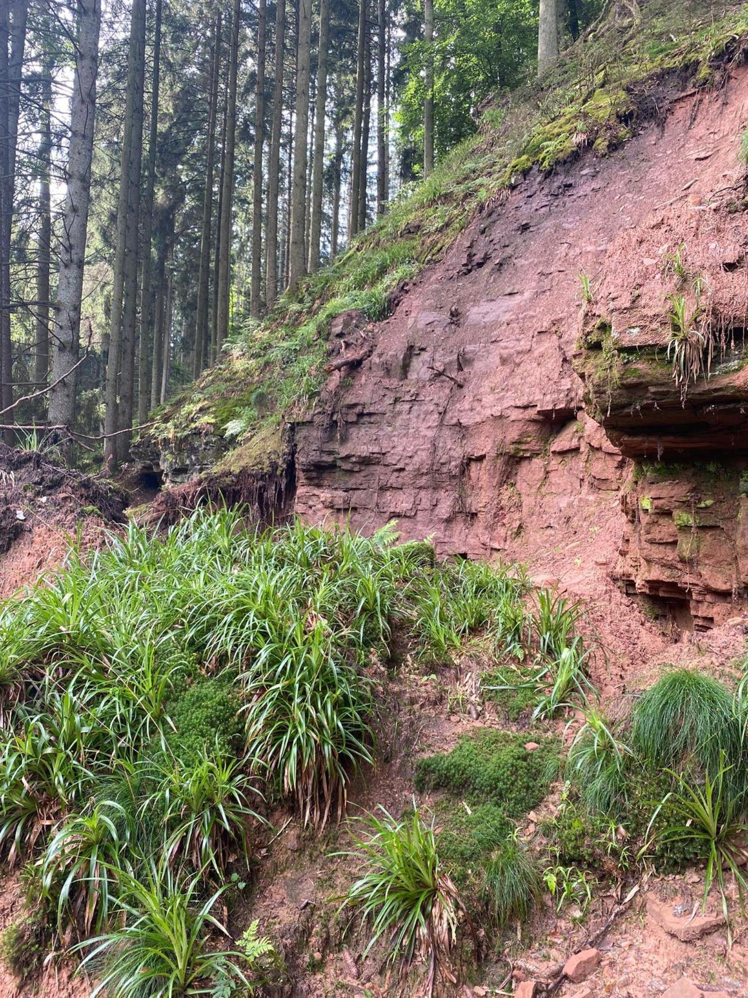 Ferienhaus Vulkaneifel Abtei Himmerod Grosslittgen Екстер'єр фото