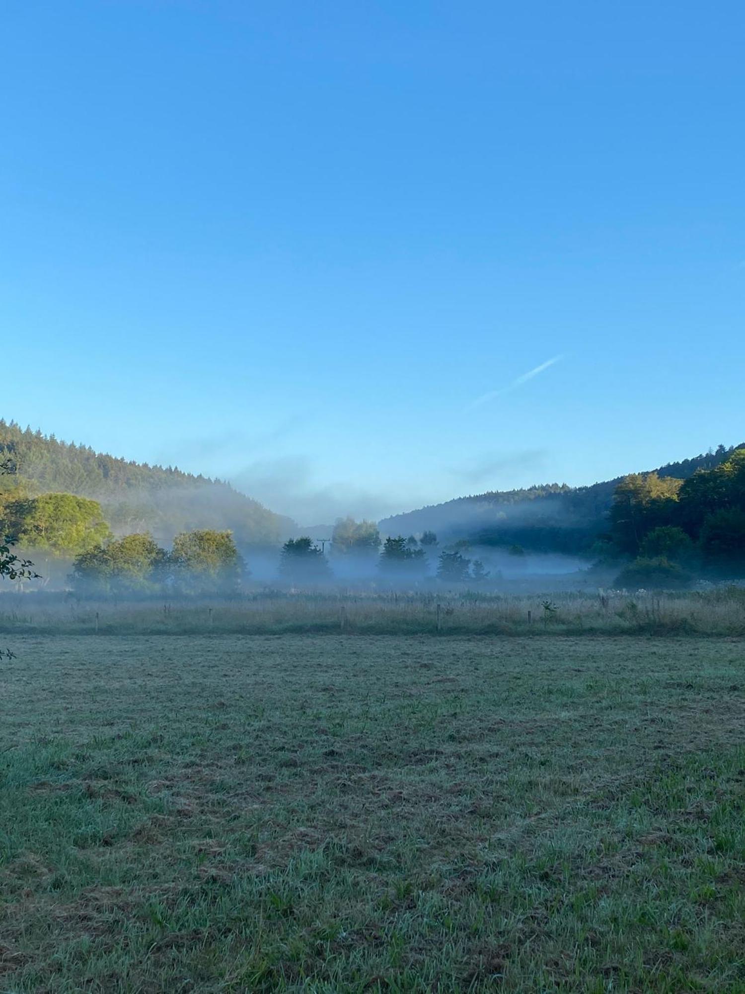 Ferienhaus Vulkaneifel Abtei Himmerod Grosslittgen Екстер'єр фото