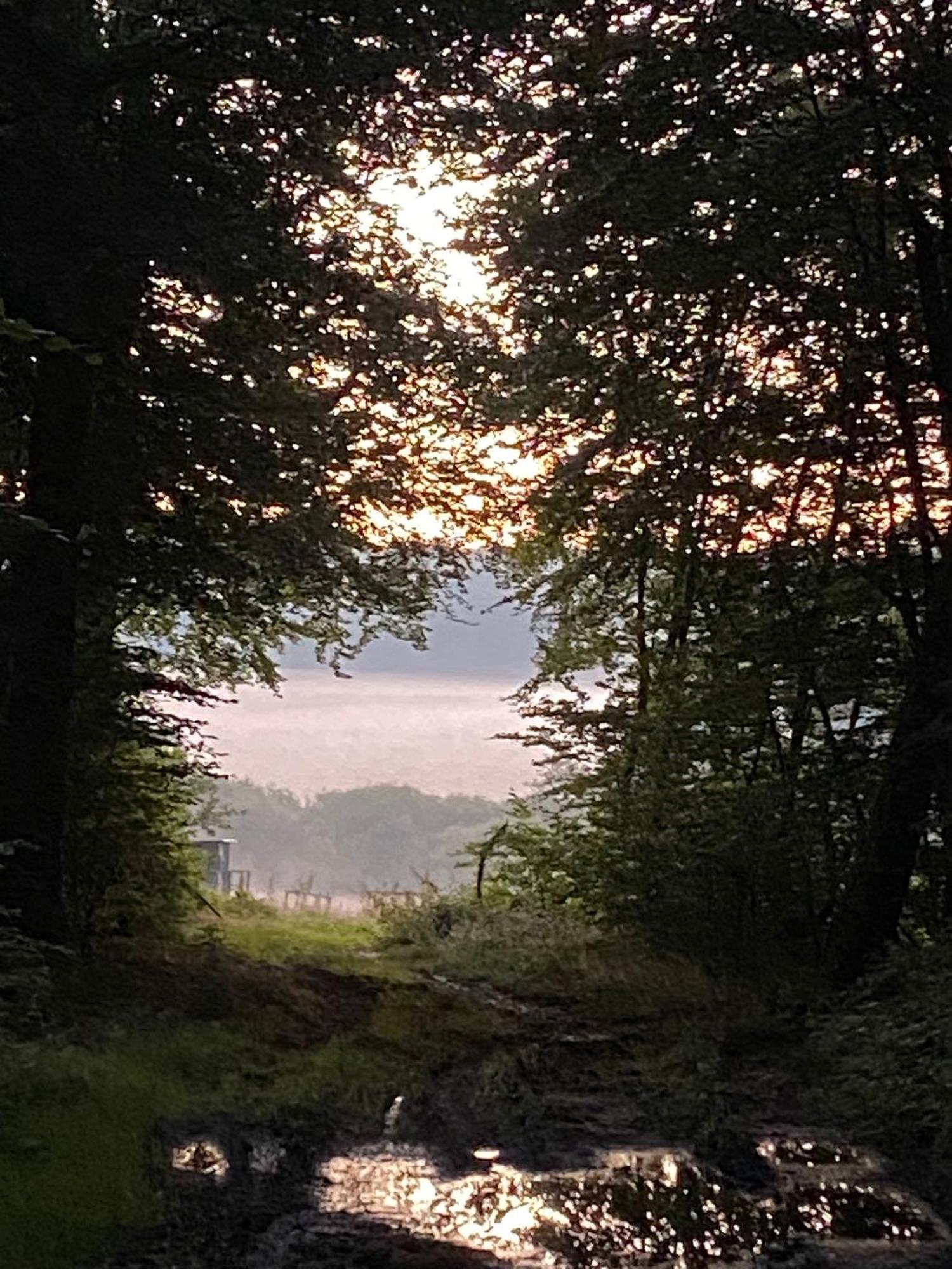 Ferienhaus Vulkaneifel Abtei Himmerod Grosslittgen Екстер'єр фото