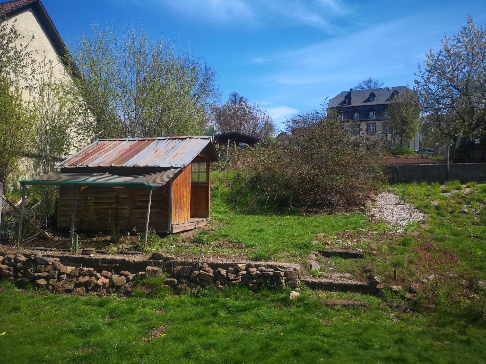 Ferienhaus Vulkaneifel Abtei Himmerod Grosslittgen Екстер'єр фото