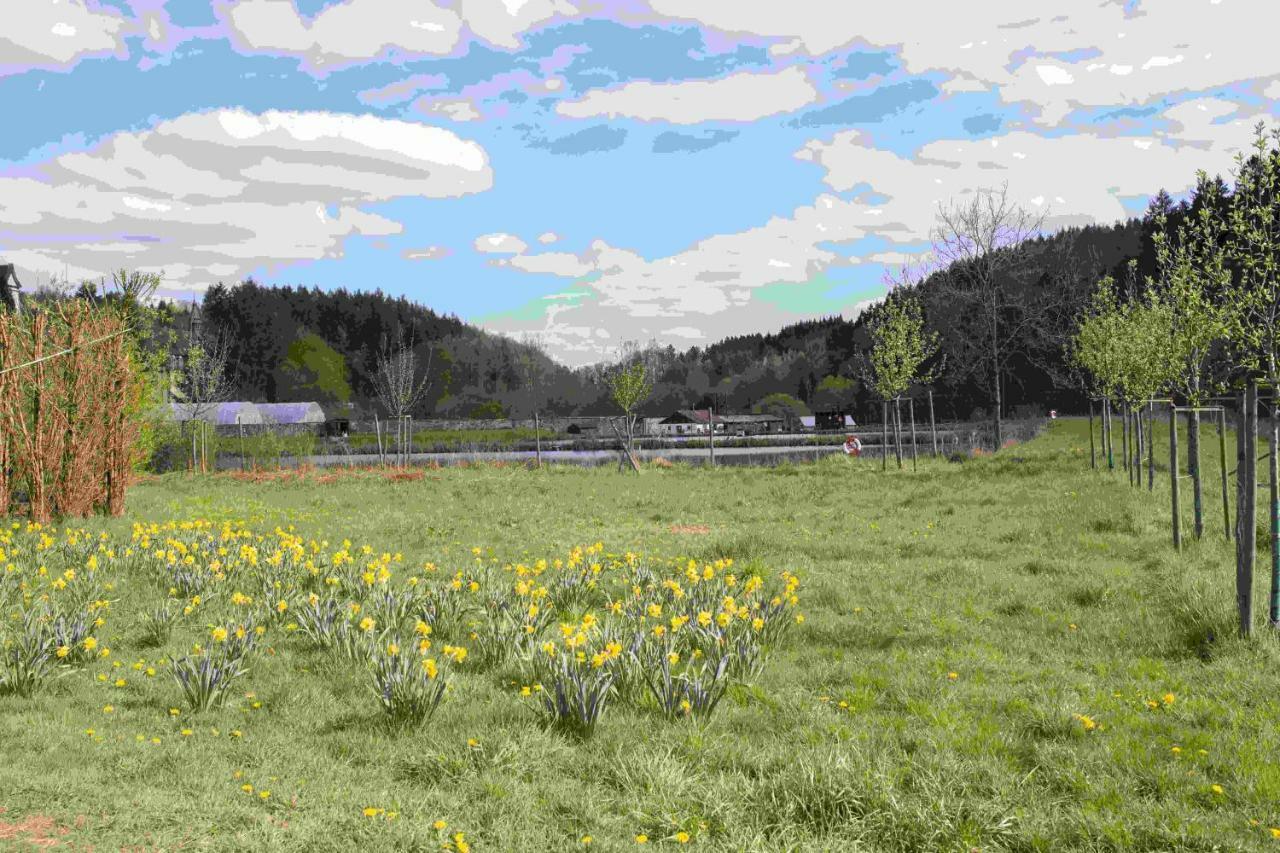 Ferienhaus Vulkaneifel Abtei Himmerod Grosslittgen Екстер'єр фото