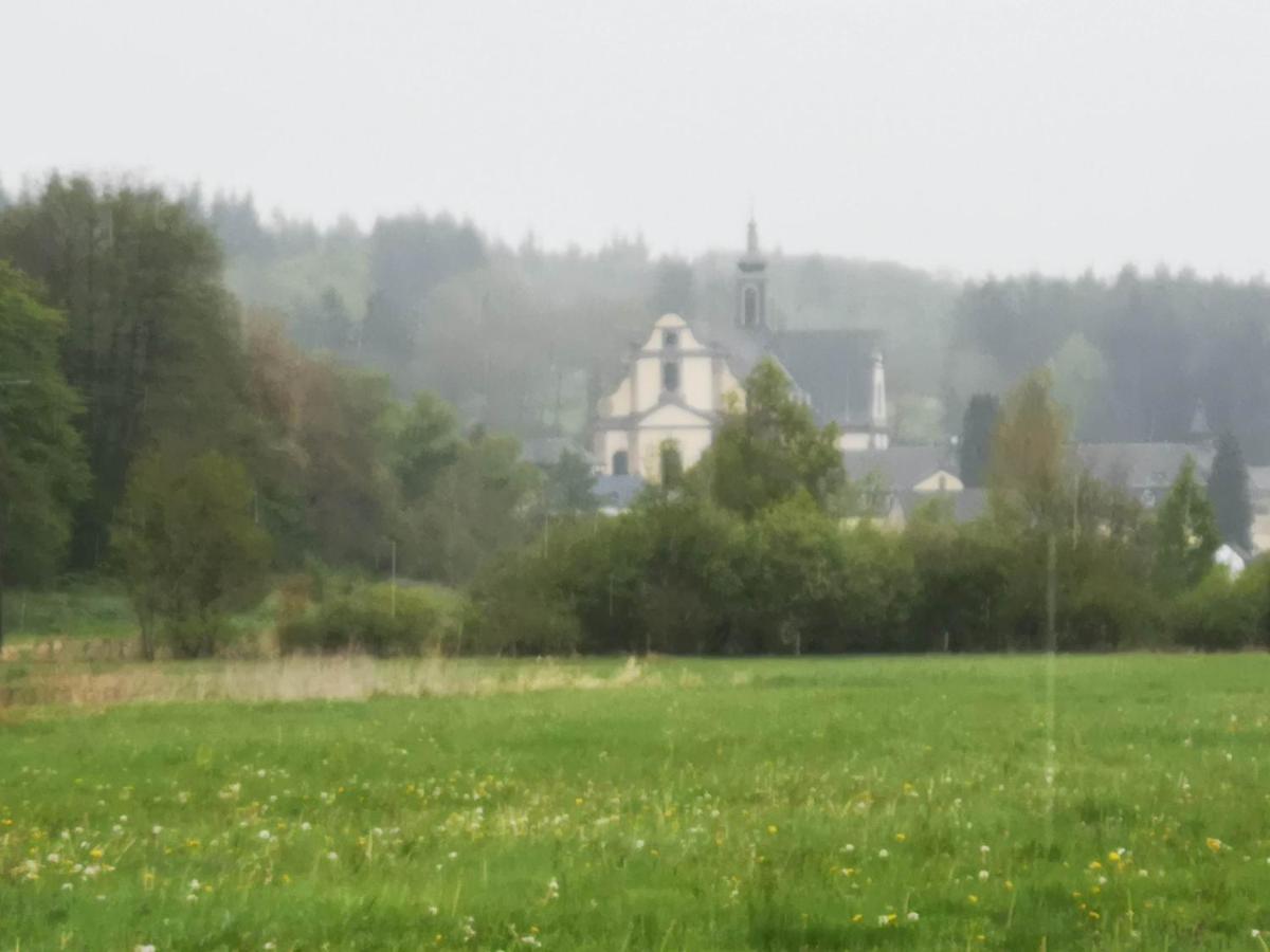 Ferienhaus Vulkaneifel Abtei Himmerod Grosslittgen Екстер'єр фото