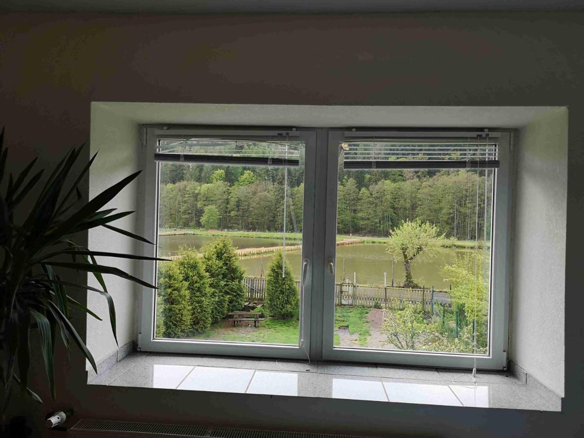 Ferienhaus Vulkaneifel Abtei Himmerod Grosslittgen Екстер'єр фото